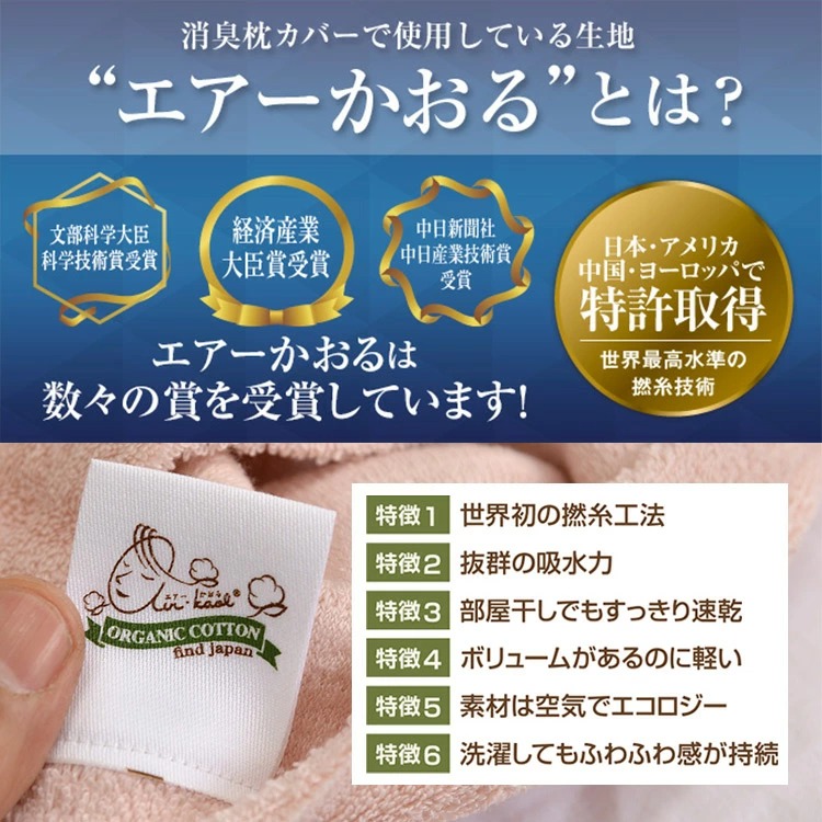 エアーかおるとは