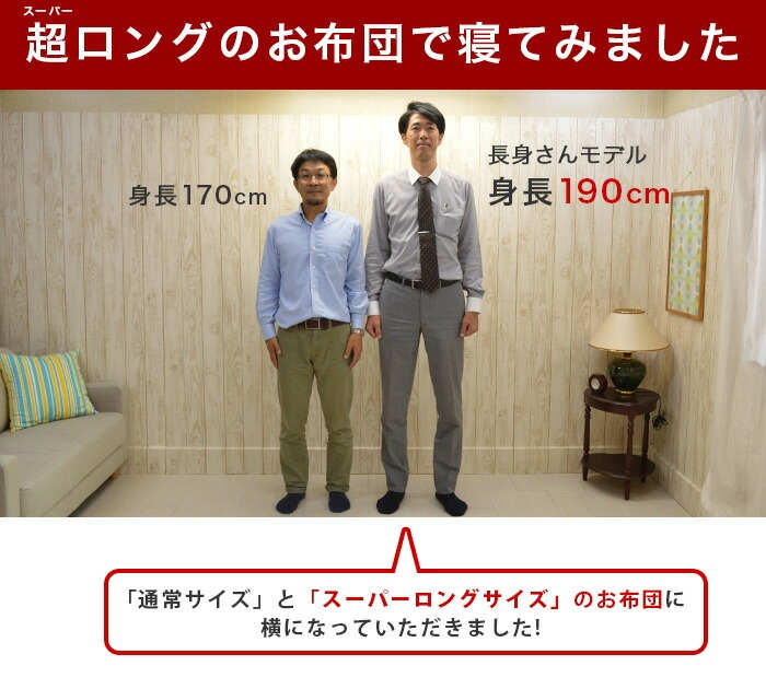 ニューゴールドラベル付 羽毛3点セット布団シングル