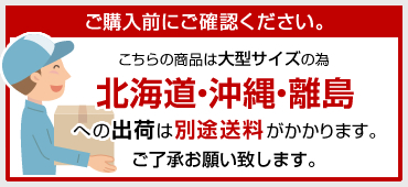 大型商品の為北海道・沖縄・離島は別途送料がかかります。