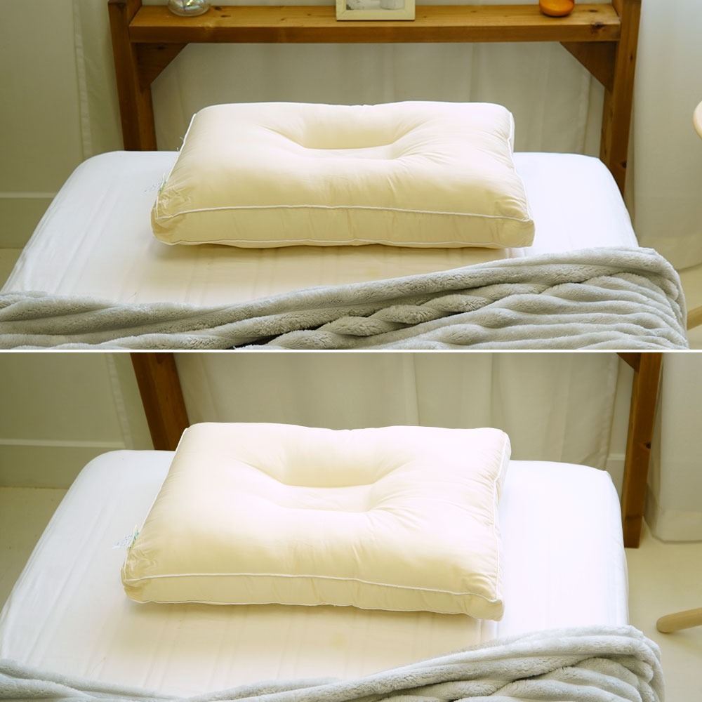 防ダニ アレルガード くぼみ型まくら イメージ